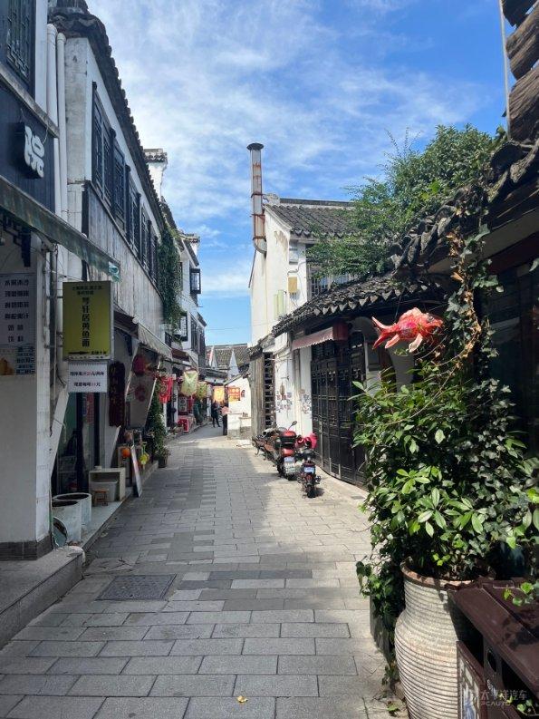 “翰墨迎新春”名家书法展在虹桥历史文化陈列馆开幕
